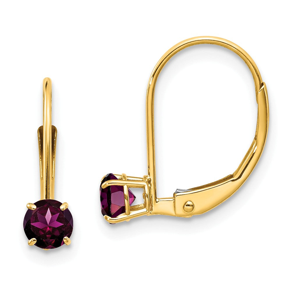 14K 4mm Round June/Rhodolite Leverback Earrings Main image