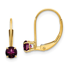 14K 4mm Round June/Rhodolite Leverback Earrings