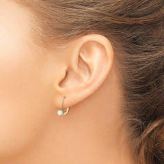 14k 4mm Round October/Opal Leverback Earrings