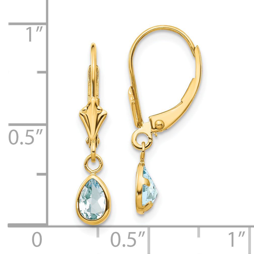 14k 6x4mm March/Aquamarine Earrings