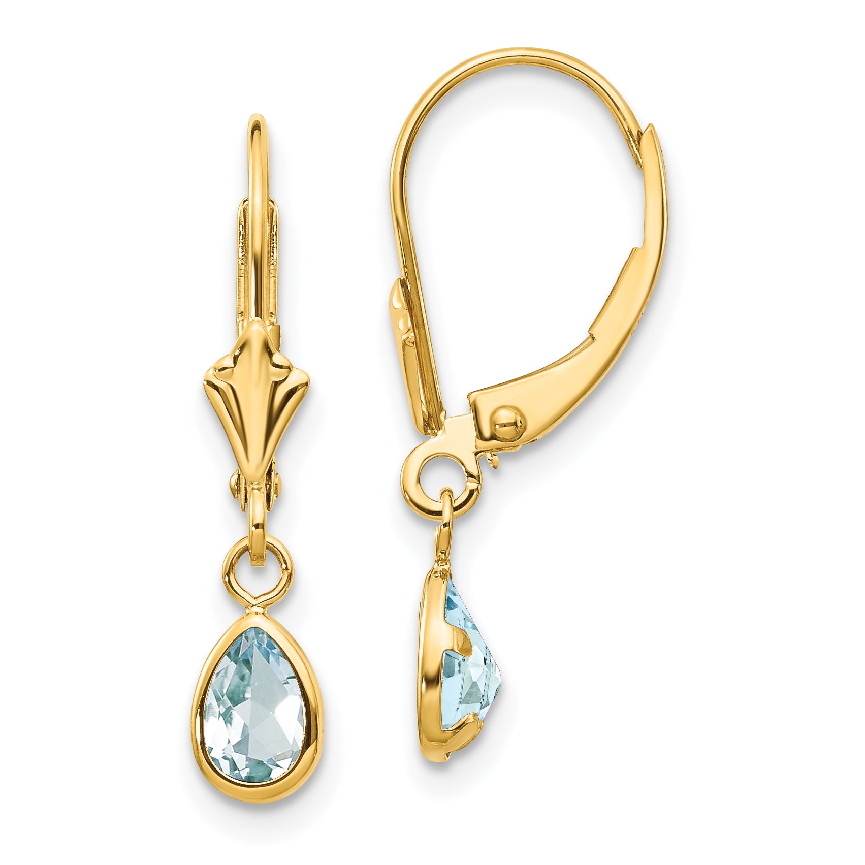 14k 6x4mm March/Aquamarine Earrings Main image