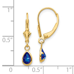 14k 6x4mm September/Sapphire Earrings