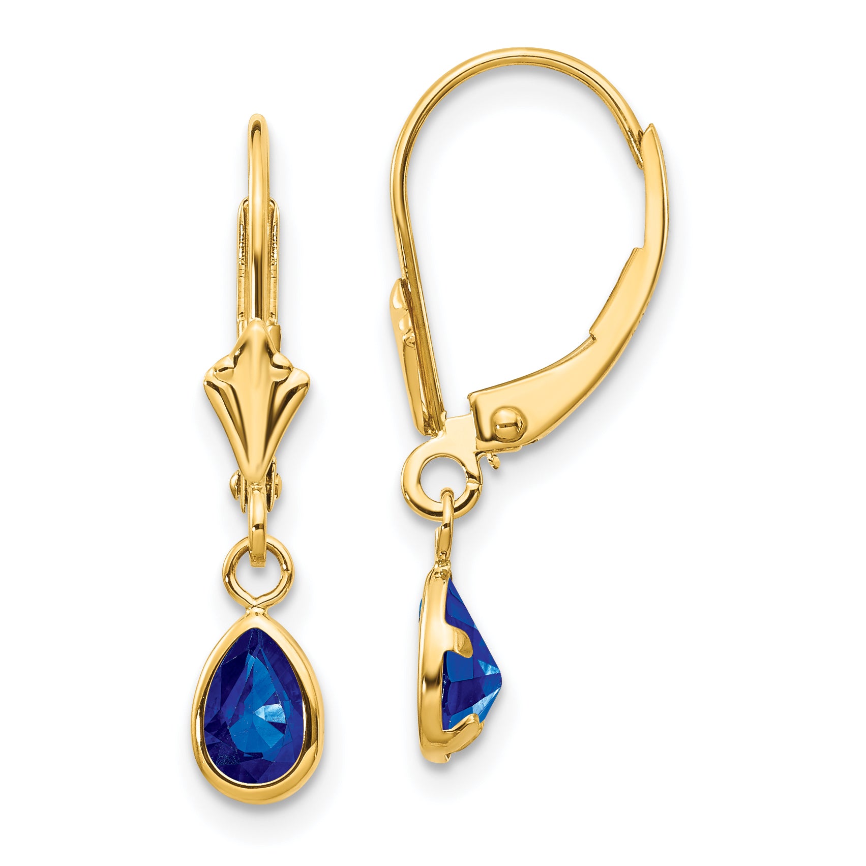 14k 6x4mm September/Sapphire Earrings Main image