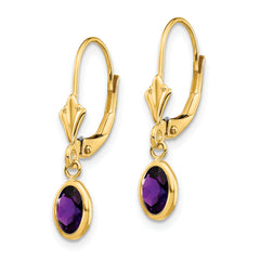 14k 6x4mm February/Amethyst Earrings