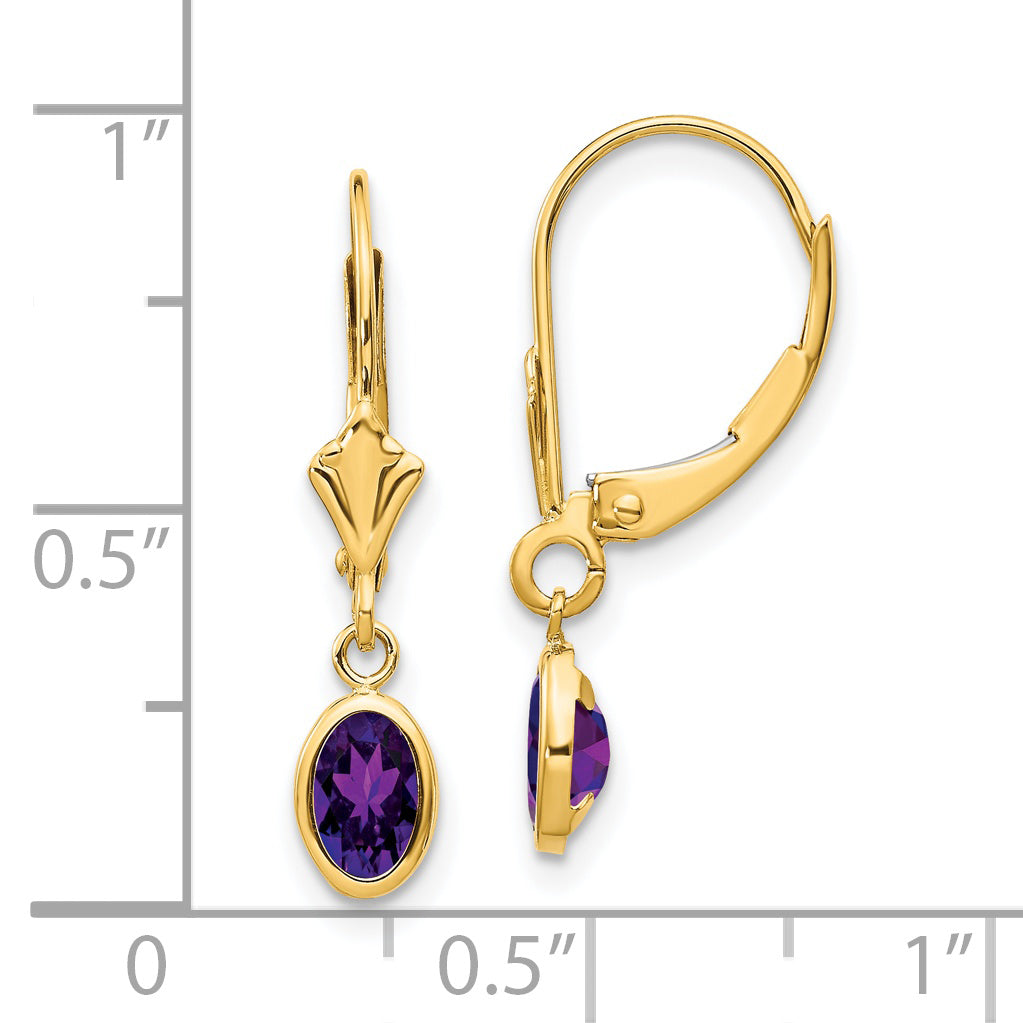 14k 6x4mm February/Amethyst Earrings