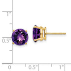 14k 8mm Amethyst Checker Post Earrings