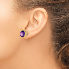 14k 10mm Amethyst Earrings