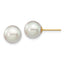 14k 8-9mm Round Grey Saltwater Akoya Cultured Pearl Stud Post Earrings