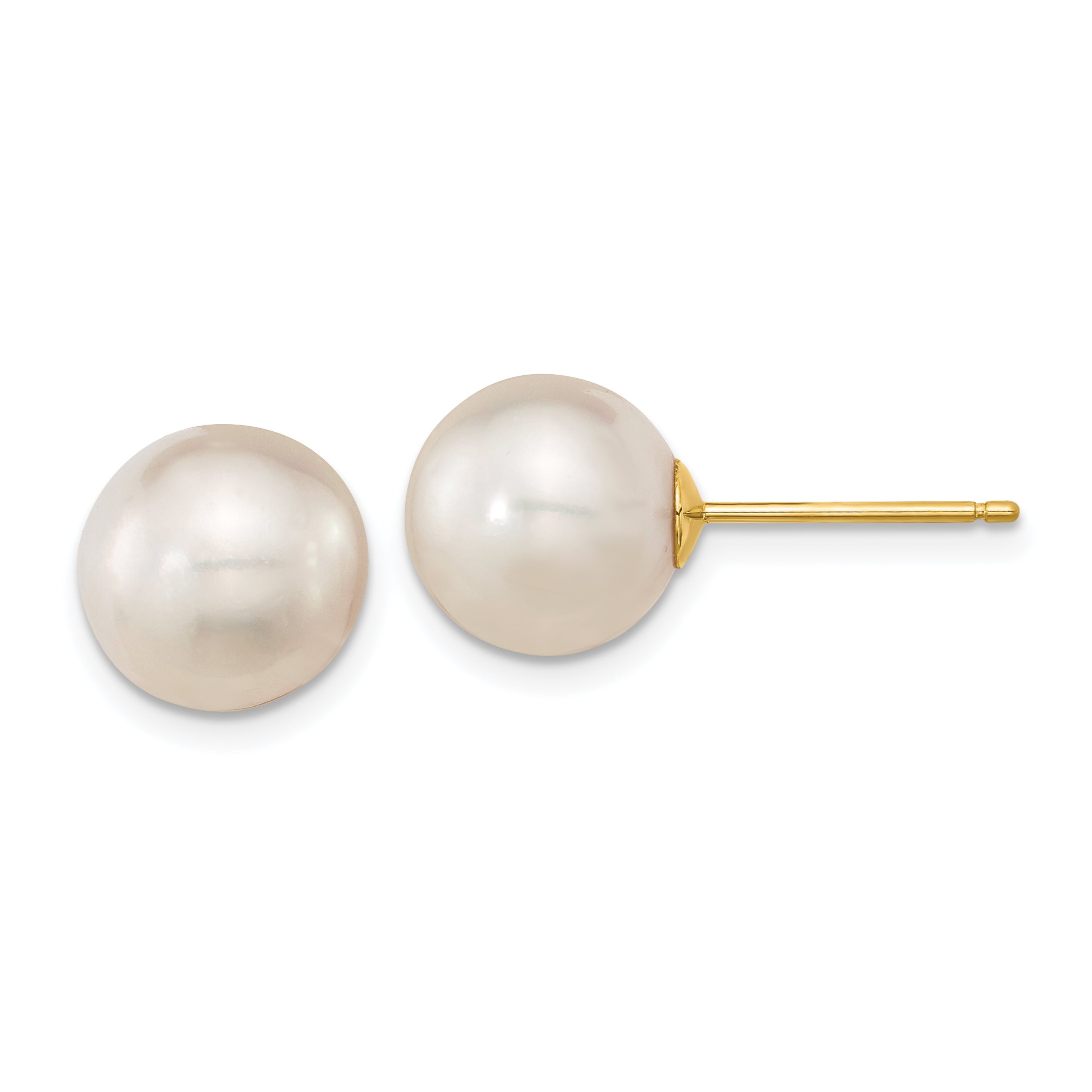14k 10-11mm White Round Saltwater Cultured South Sea Pearl Post Earrings
