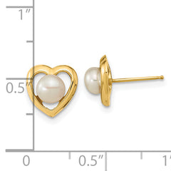 14k 4-5mm White Button Freshwater Cultured Pearl Post Earrings