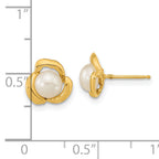 14k 5-6mm White Button Freshwater Cultured Pearl Post Earrings
