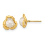 14k 5-6mm White Button Freshwater Cultured Pearl Post Earrings