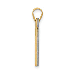 14K Two-Tone Solid Satin Chai Charm