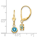 14k 5mm Blue Topaz Leverback Earring