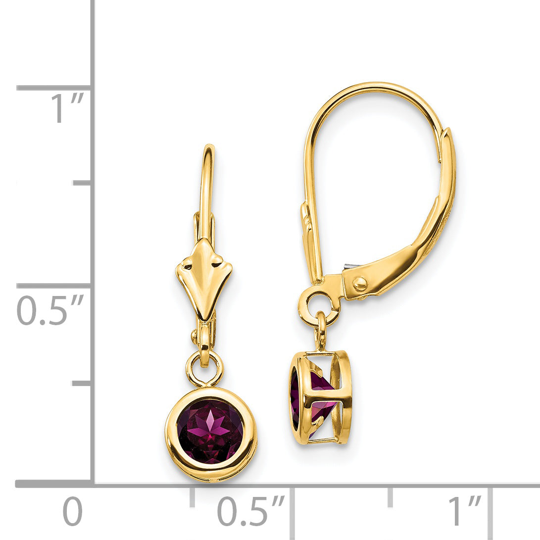 14k 5mm Rhodolite Garnet Leverback Earrings