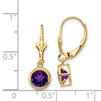 14k 6mm Amethyst Leverback Earrings