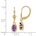 14k 7x5mm Oval Amethyst Leverback Earrings