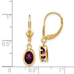 14k 7x5mm Oval Rhodolite Garnet Leverback Earrings