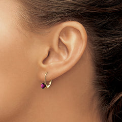 14k 5mm Amethyst Leverback Earrings