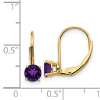 14k 5mm Amethyst Leverback Earrings