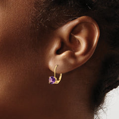 14k 6mm Amethyst Leverback Earrings