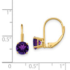 14k 6mm Amethyst Leverback Earrings