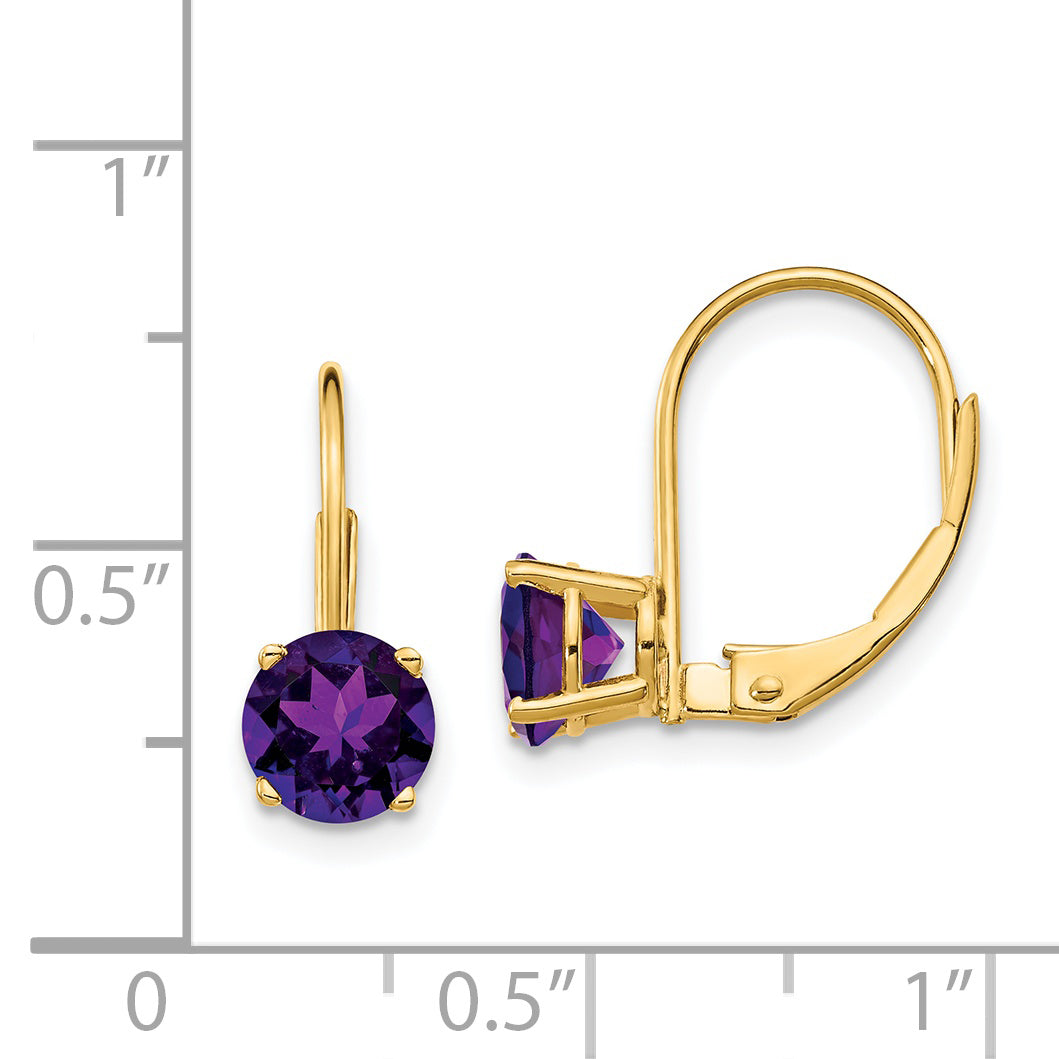 14k 6mm Amethyst Leverback Earrings