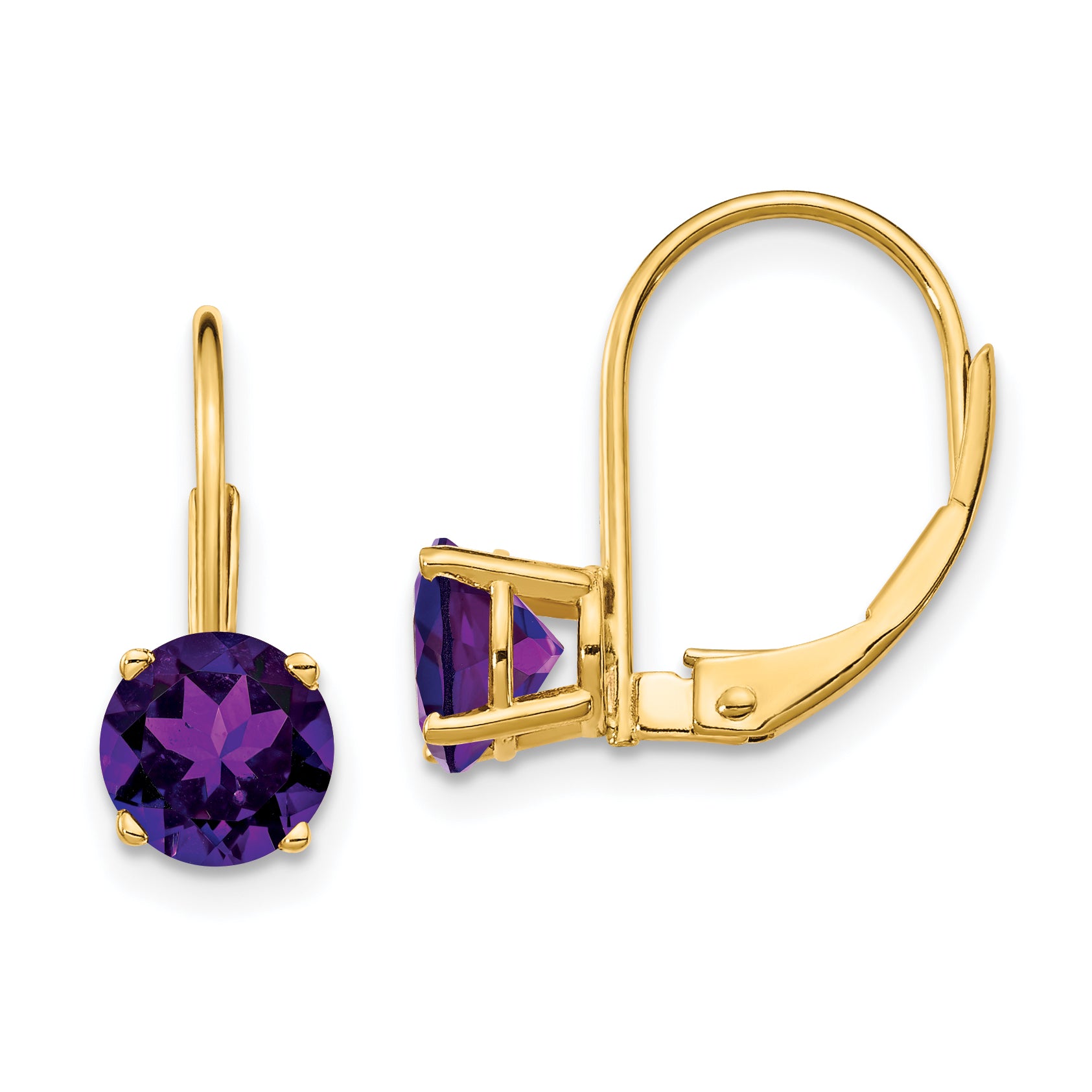 14k 6mm Amethyst Leverback Earrings Main image