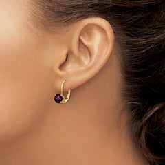 14k 6mm Rhodolite Garnet Leverback Earrings