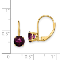 14k 6mm Rhodolite Garnet Leverback Earrings