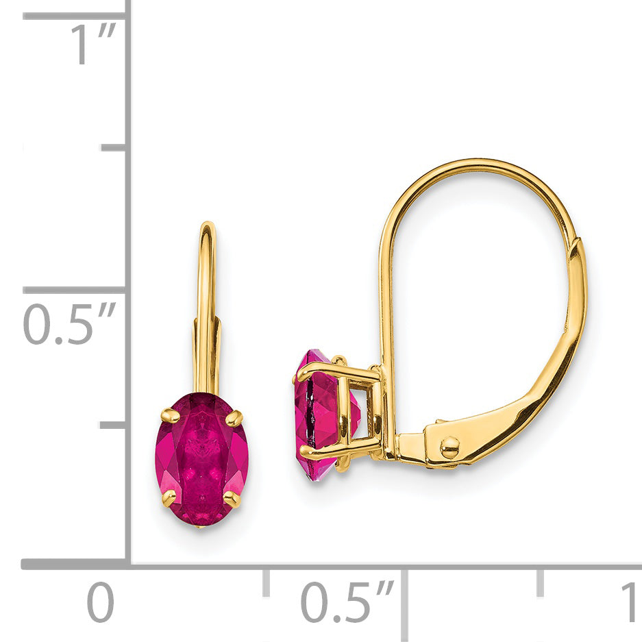 14k 6x4mm Oval Created Ruby Leverback Earrings