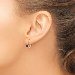 14k 5mm Heart Rhodolite Garnet Leverback Earrings