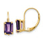 14k 7x5mm Emerald Cut Amethyst Leverback Earrings