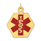 14k Red Enamel Medical Jewelry Pendant