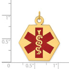 14K Red Enamel Medical Jewelry Pendant