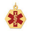 14k Red Enamel Medical Jewelry Pendant