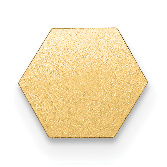 14K Non-enameled Attachable Medical Emblem Charm