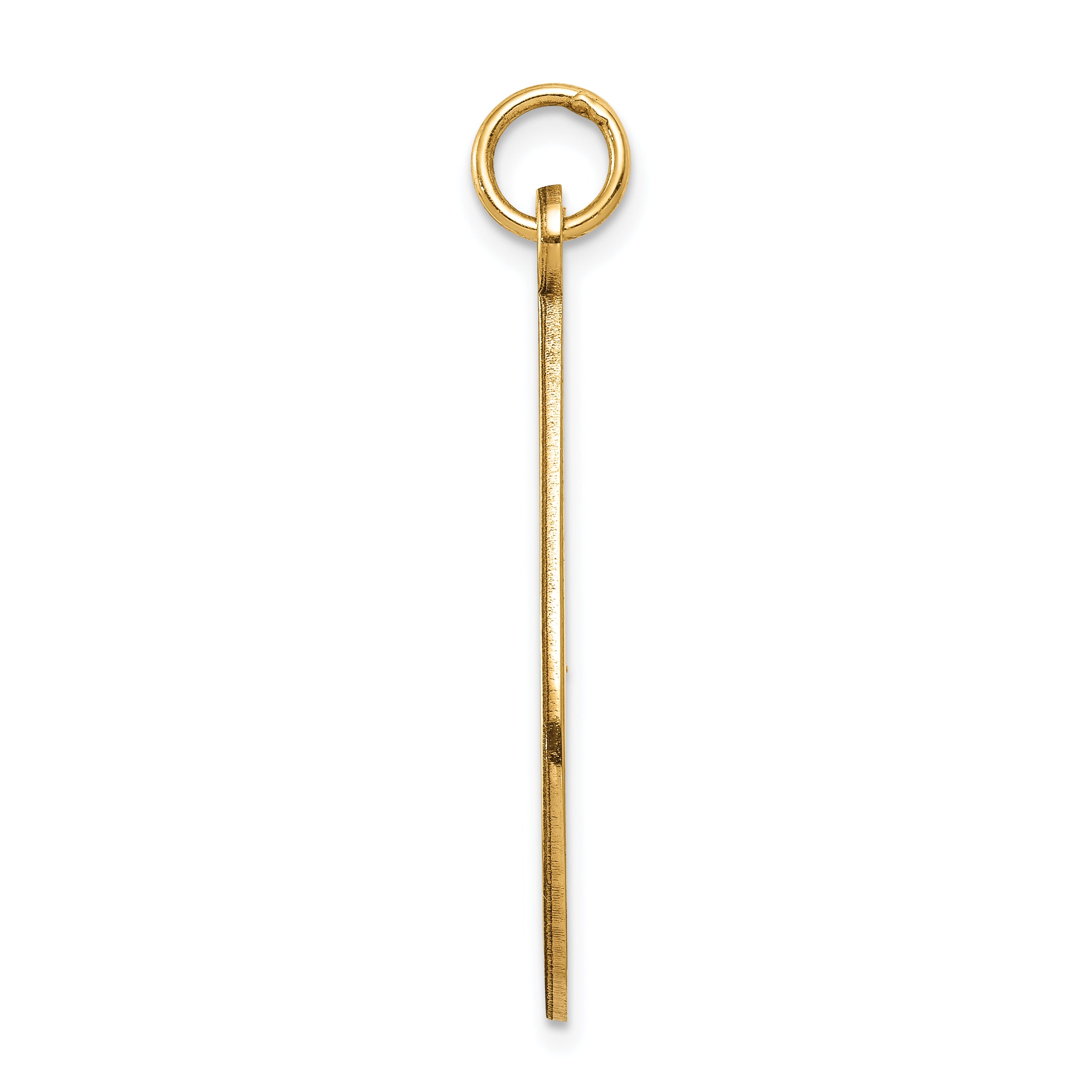 14K Medical Jewelry Unenameled Pendant