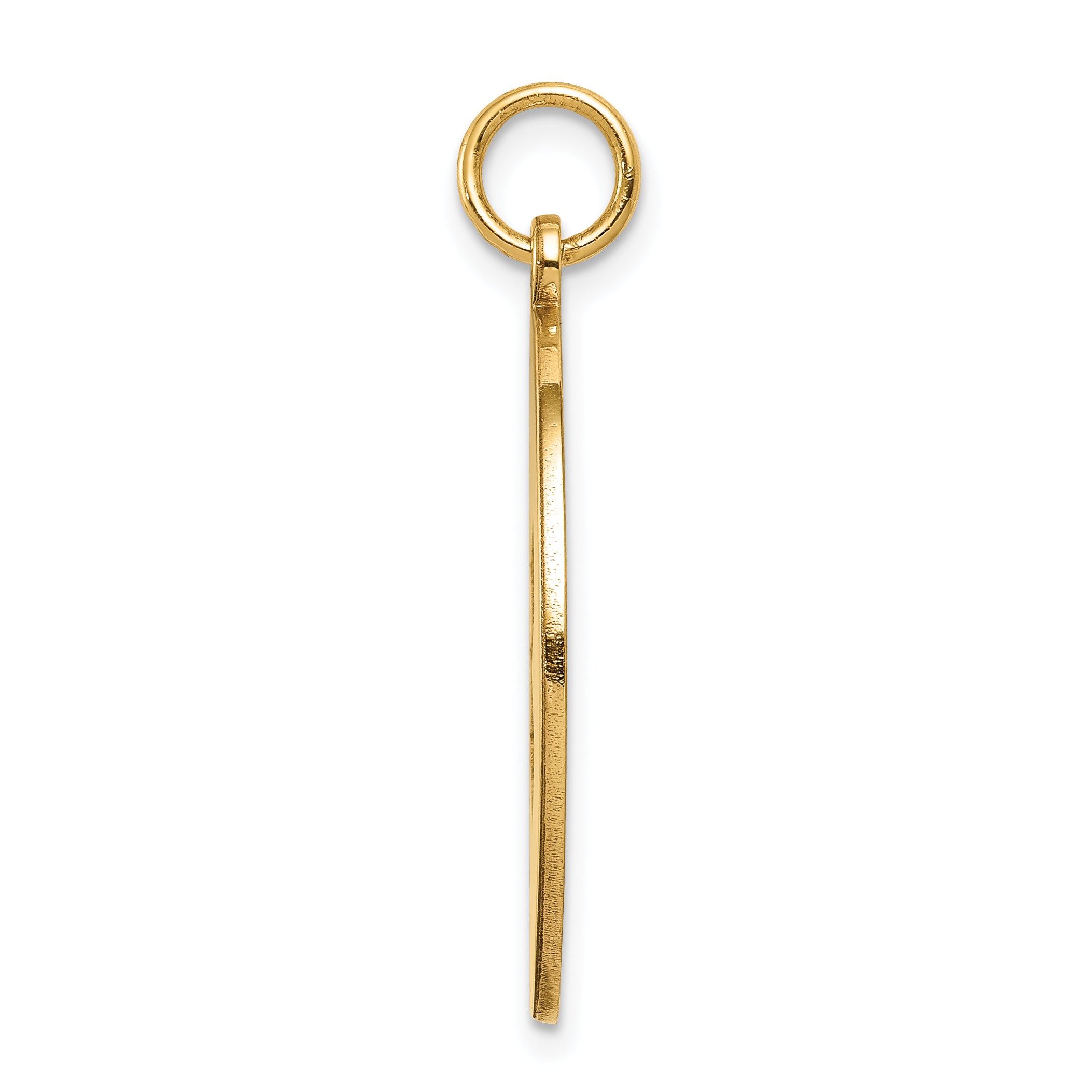 14K Non-enameled Medical Jewelry Pendant Secondary image
