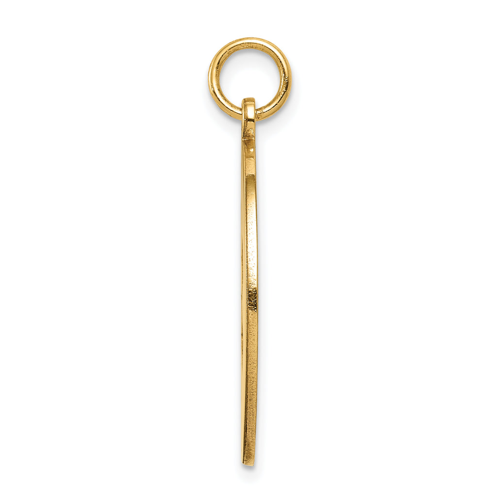 14K Non-enameled Medical Jewelry Pendant