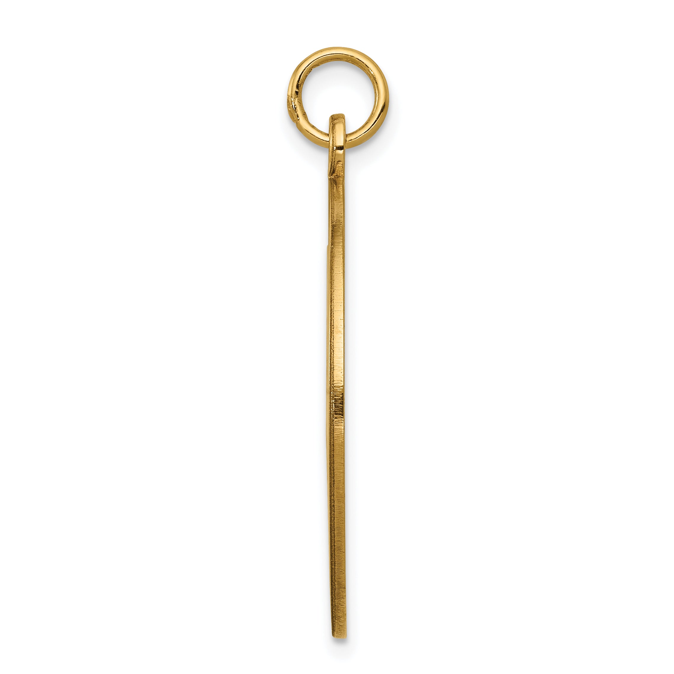 14K Medical Jewelry Unenameled Pendant