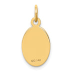 14K Non-enameled Medical Jewelry Pendant