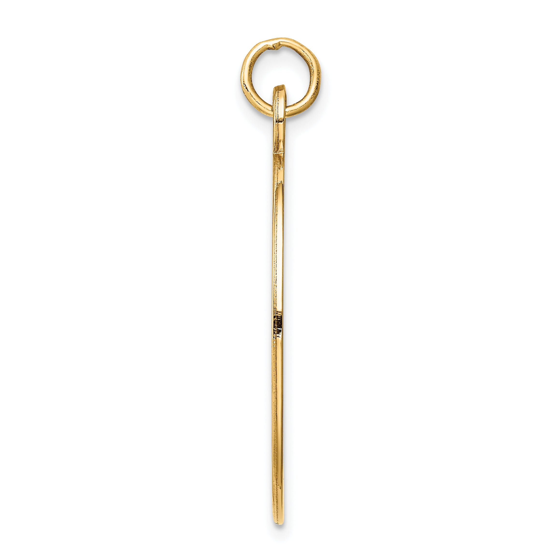 14K Non-enameled Medical Jewelry Pendant Secondary image