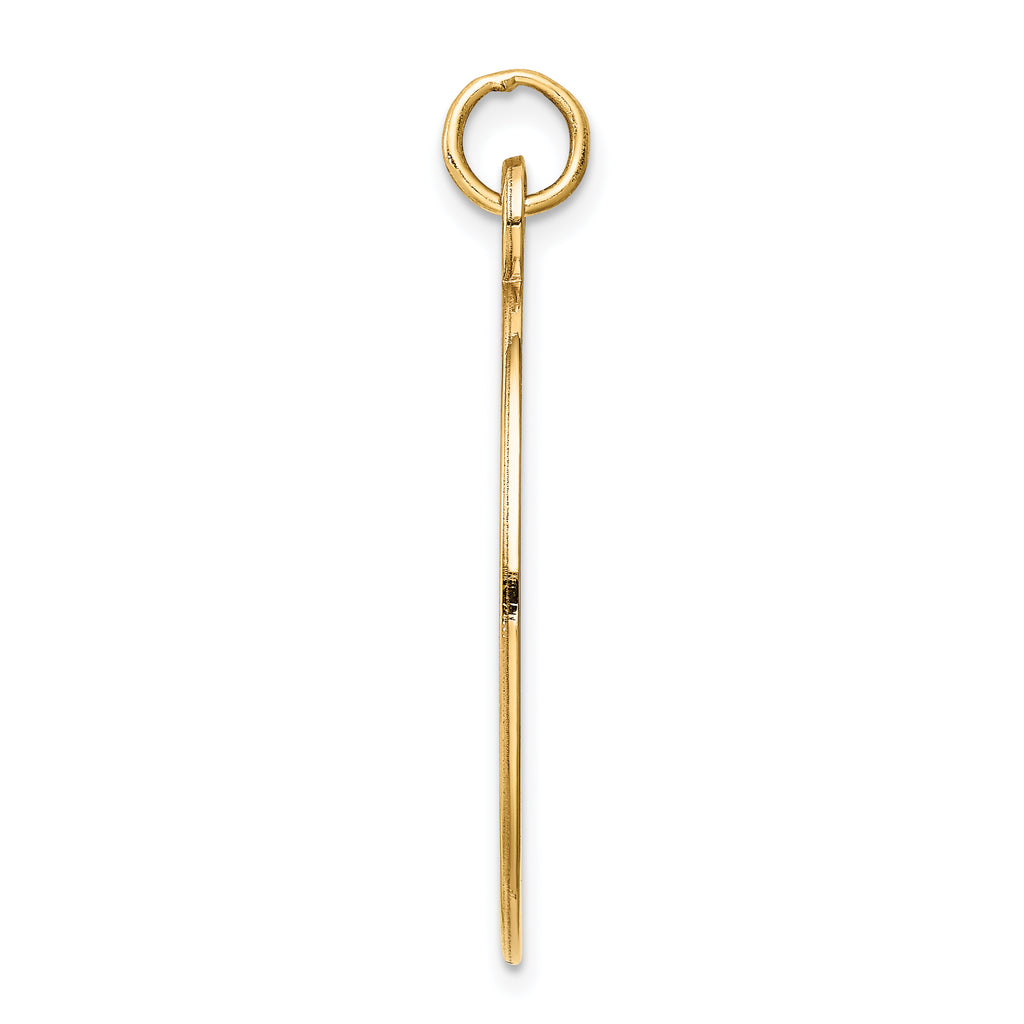 14K Non-enameled Medical Jewelry Pendant