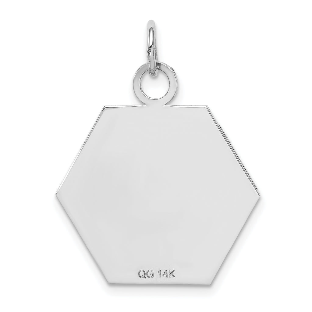 14K White Gold Red Enamel Medical Jewelry Pendant