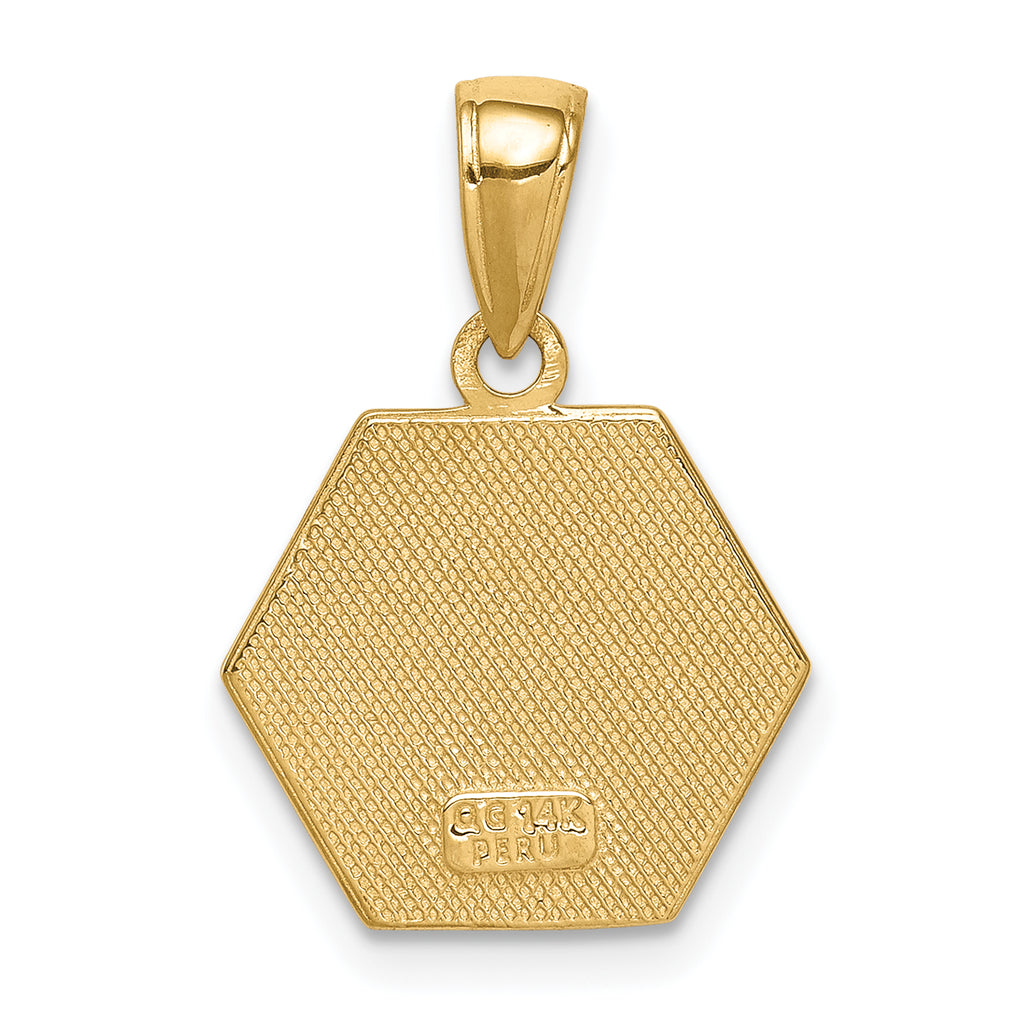 14k Enameled Textured Back Medical Disk Pendant