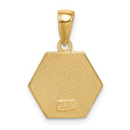14k Enameled Textured Back Medical Disk Pendant