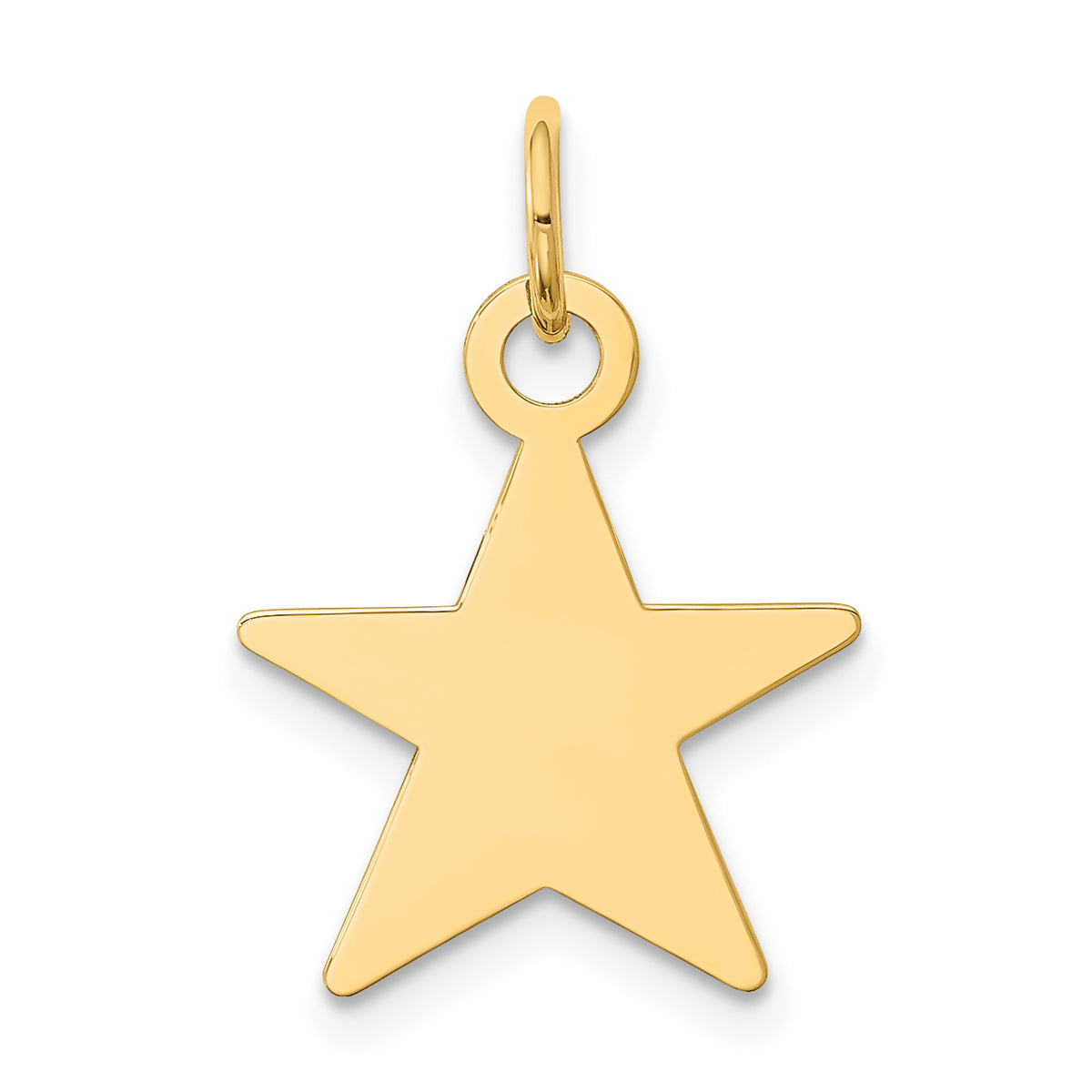 14K Star Disc Charm