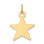 14K Star Disc Charm