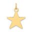 14K Star Disc Charm